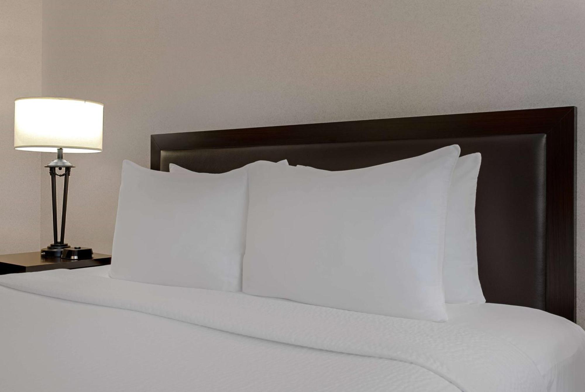 Hotel Ramada Plaza By Wyndham Downtown 3*